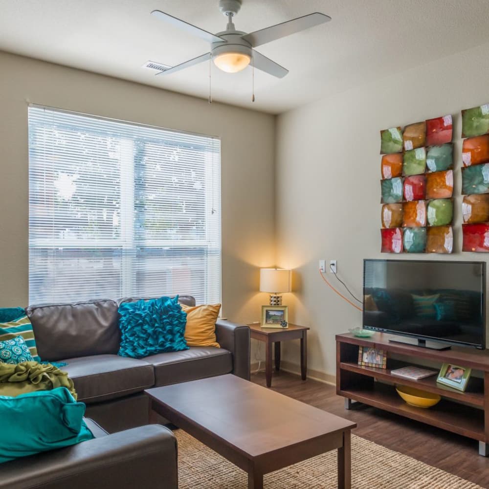 13th-Olive-Living-Room2