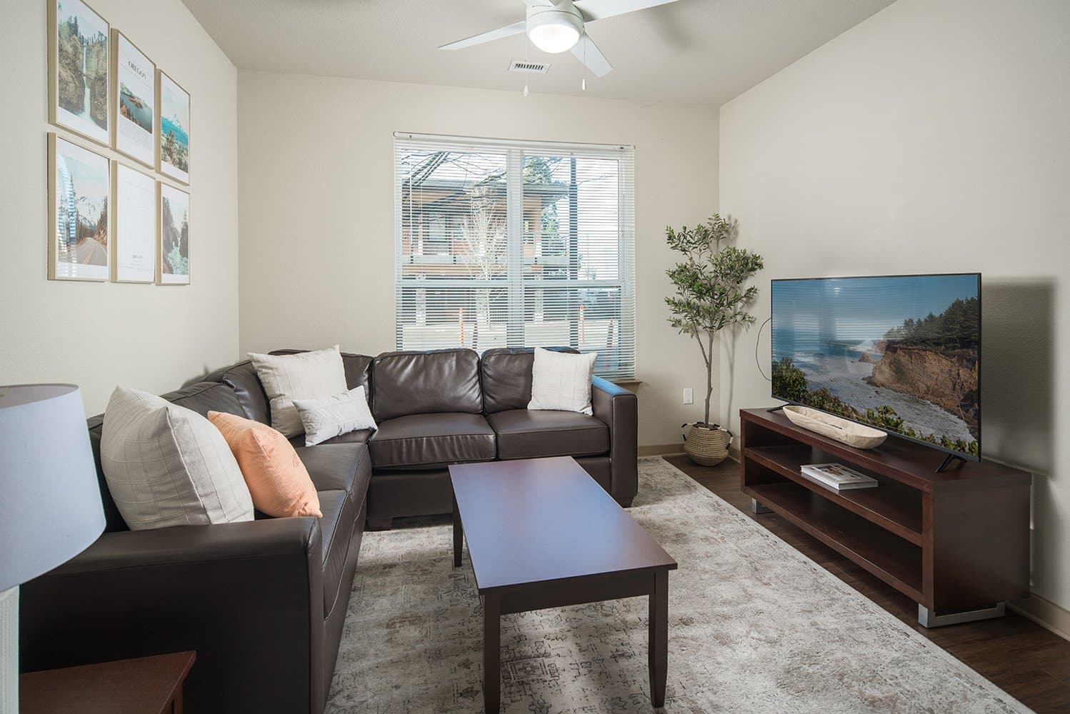 13th-&-Olive_Living_Room_1